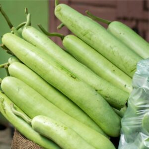 लौकी (Bottle Gourd)