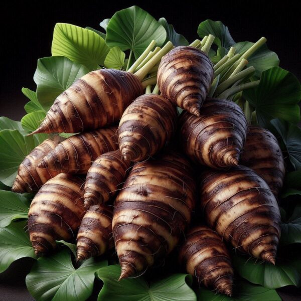 अरबी   (Taro Root)